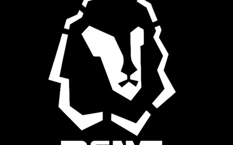 广州博狮网络科技有限公司