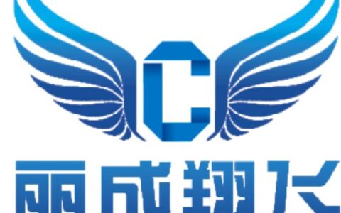 成都丽成翔飞网络科技有限责任公司