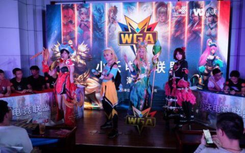 群雄争渡 琼岛称雄：小沃WGA电竞联盟现身海口