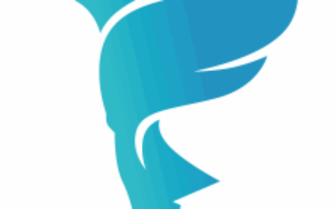 山东飞人鸟网络科技有限公司