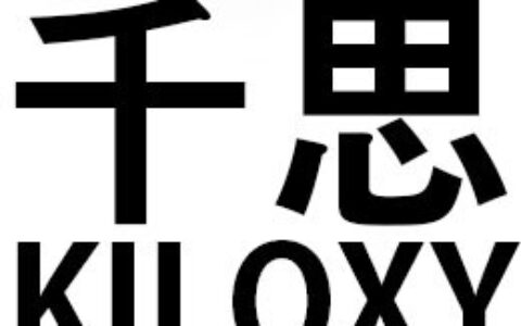 成都千思信息技术有限公司