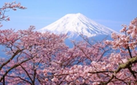 【中国出海秀】日本本土游戏霸榜 国产三国SLG稳定