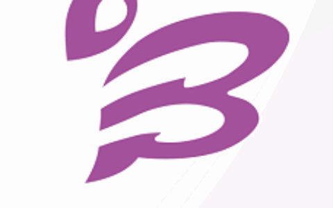 成都倍亿网络科技有限公司