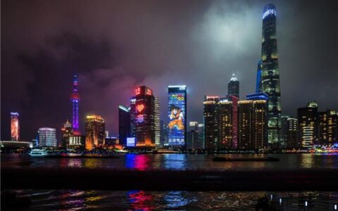 《龙珠觉醒》火了，然而原因是它的广告被网友玩坏了…