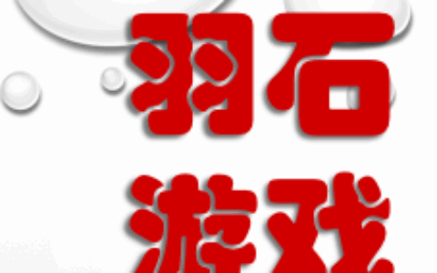 广州羽石网络科技有限公司