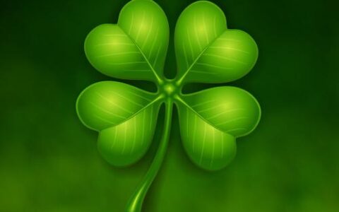 西藏天泽网络科技有限公司