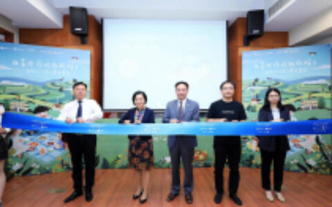 联合国世界粮食计划署联合微信小游戏 启动创新爱心活动