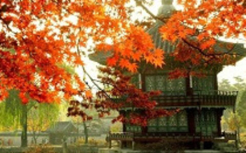 【中国出海秀】莉莉丝全球全面开花 在韩挑战天堂IP