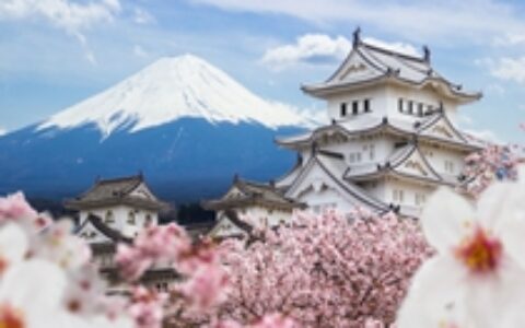 【中国出海秀】《荒野行动》海外新挑战：日本已是COD手游第二大市场