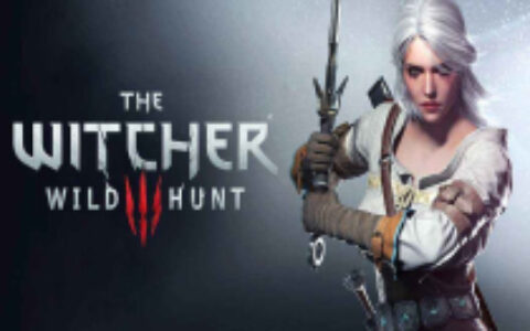 波兰厂商CD Projekt依靠《巫师3》 Q3季度营收2390万美元同比增长38%