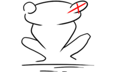 南通镜蛙网络科技有限公司