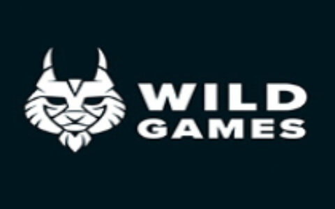 Supercell投资Wild Games超10万美元 至力于移动游戏开发