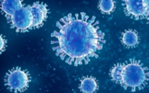 黑天鹅突袭游戏行业：SOHO办公困难多 武汉团队先防疫