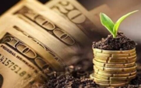 新兴厂商三杰：吉比特、心动和莉莉丝投了哪些游戏公司？