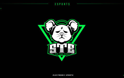 筑梦湾区 STE电竞俱乐部正式成军深圳