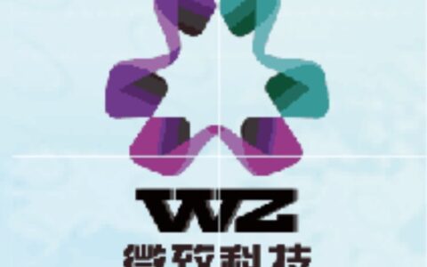 广州微致信息科技有限公司