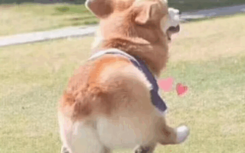 年纪轻轻，我就有了《推理学院》99%的人还没拥有的成就