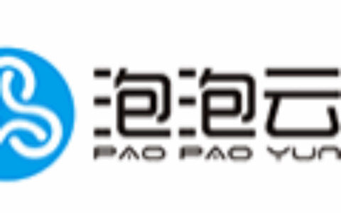 安徽泡泡云信息技术服务有限公司