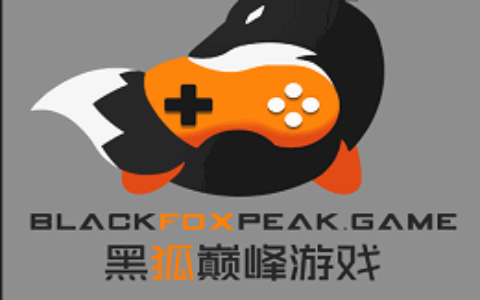 杭州黑狐巅峰软件技术有限责任公司