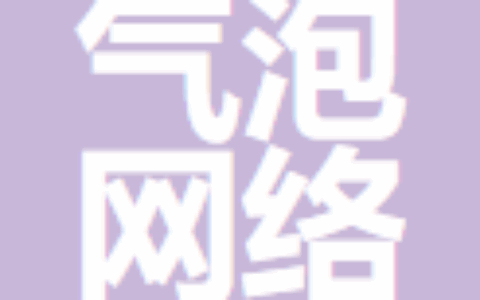 广州气泡网络科技有限公司