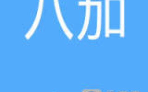 苏州八加一信息技术有限公司