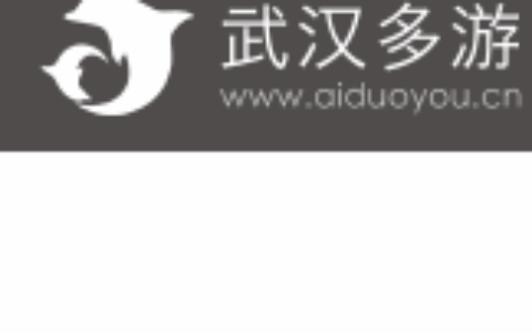 武汉多游网络科技有限公司