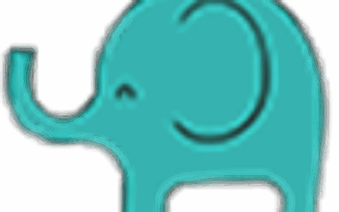 广州小象出海科技有限公司