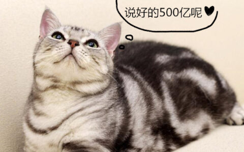 四个词，带你回顾国产休闲游戏的2020 | 年终盘点