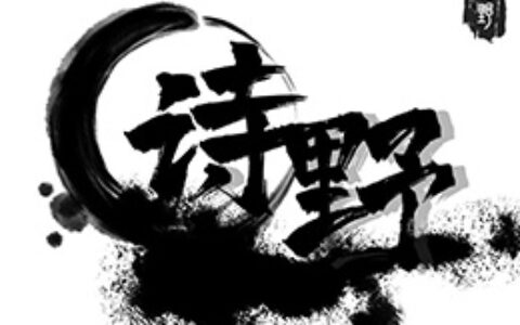 沈阳诗野文化传媒有限公司