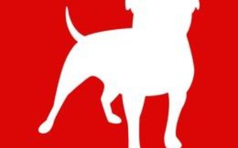 有意加入PC游戏市场？Zynga收购《火炬之光3》研发团队