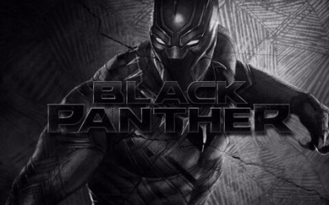 《漫威复仇者联盟》黑豹出现，为瓦坎达而战！