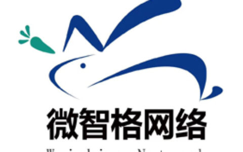 南京市微智格网络智能科技有限公司