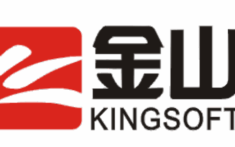 金山软件(武汉)