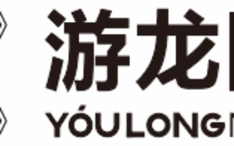 福建游龙网络科技有限公司