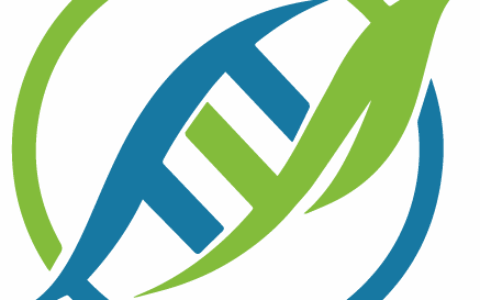 上海鼎叶生物科技有限公司