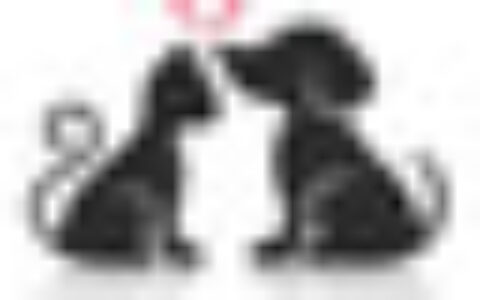 沈阳宠生网络科技有限公司