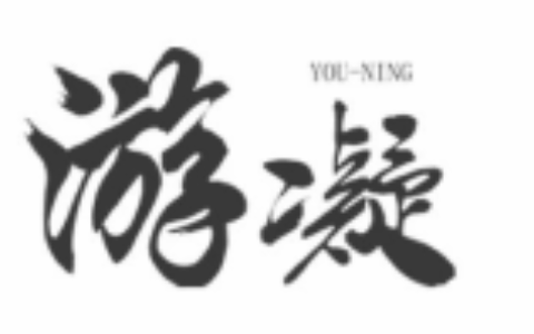 成都游凝网络科技有限公司