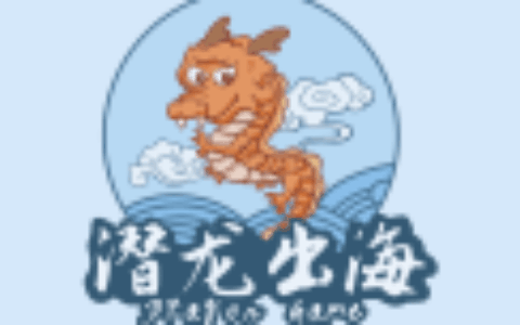 成都潜龙出海游戏网络公司