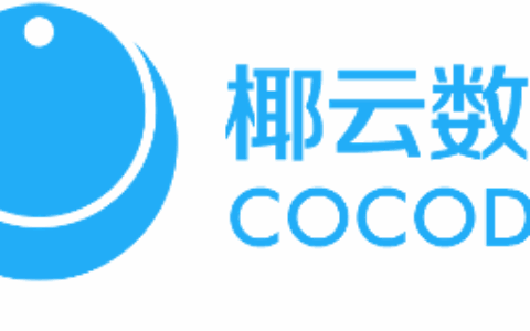 海南椰云数据服务科技有限公司