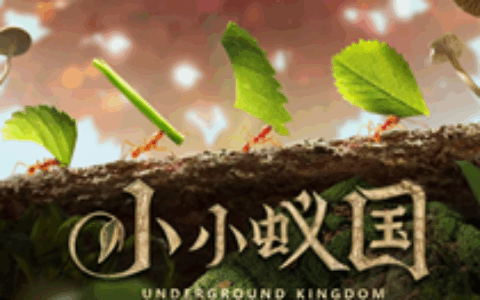 【日韩出海秀】《原神》1年不到海外吸金11亿美元 明星制作人新品初获成功