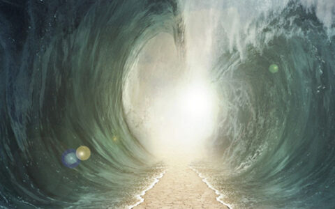 在人才内卷的洪水来临之际，游戏工业化可能是各个厂商寻找的“诺亚方舟”