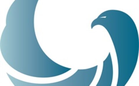 成都已观沧海网络科技有限公司