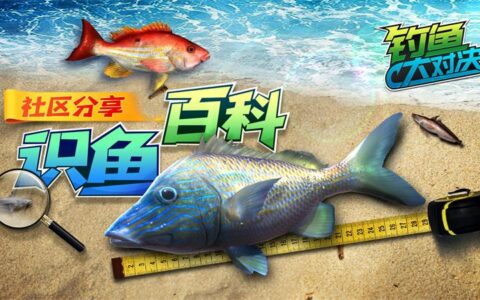 元旦送好礼《钓鱼大对决》假期活动火热来袭