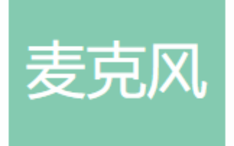 厦门麦克风数字科技有限公司