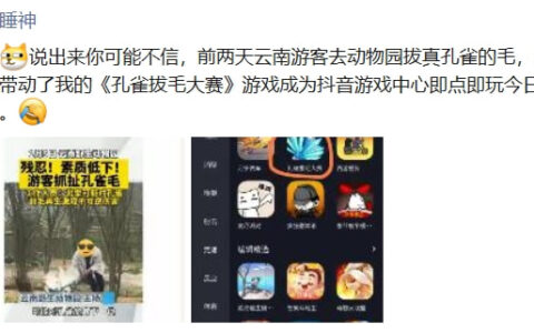 《孔雀拔毛大赛》：一款被新闻带火的小游戏