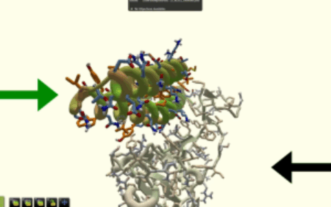 用游戏辅助做科研，居然能行并且效果不错？！