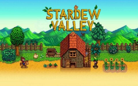 对类《星露谷物语》的模拟经营游戏的深度解析