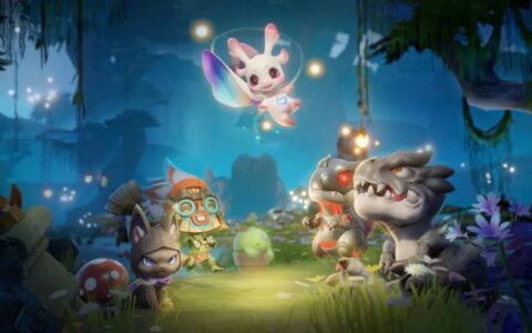 宠物趣味性小谈