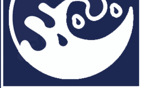 深圳市浪头科技有限公司