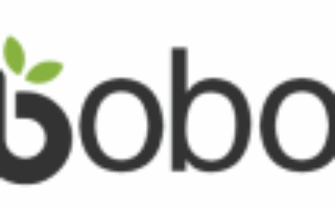 广州啵啵网络科技有限公式